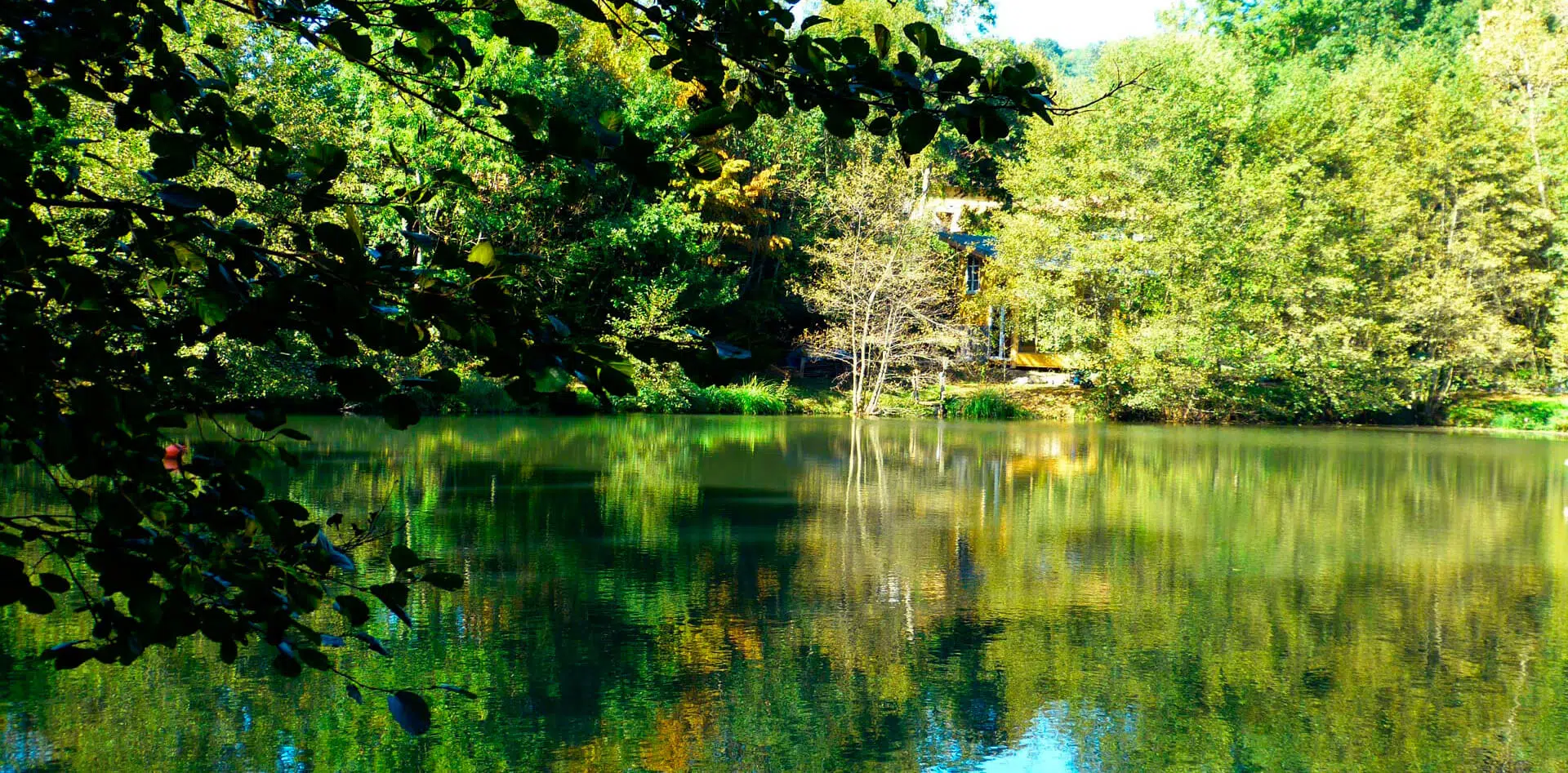 Photo de l'Etang d'Art de Bhéatrice Chanard à Commelle