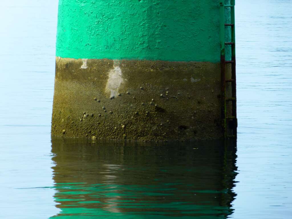 "VERT" Photo de Jean-Pierre Malaponti Photographe